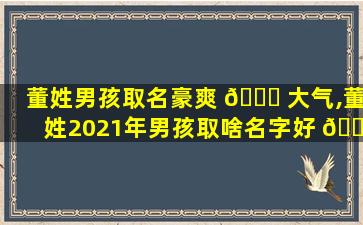 董姓男孩取名豪爽 🐎 大气,董姓2021年男孩取啥名字好 🐧